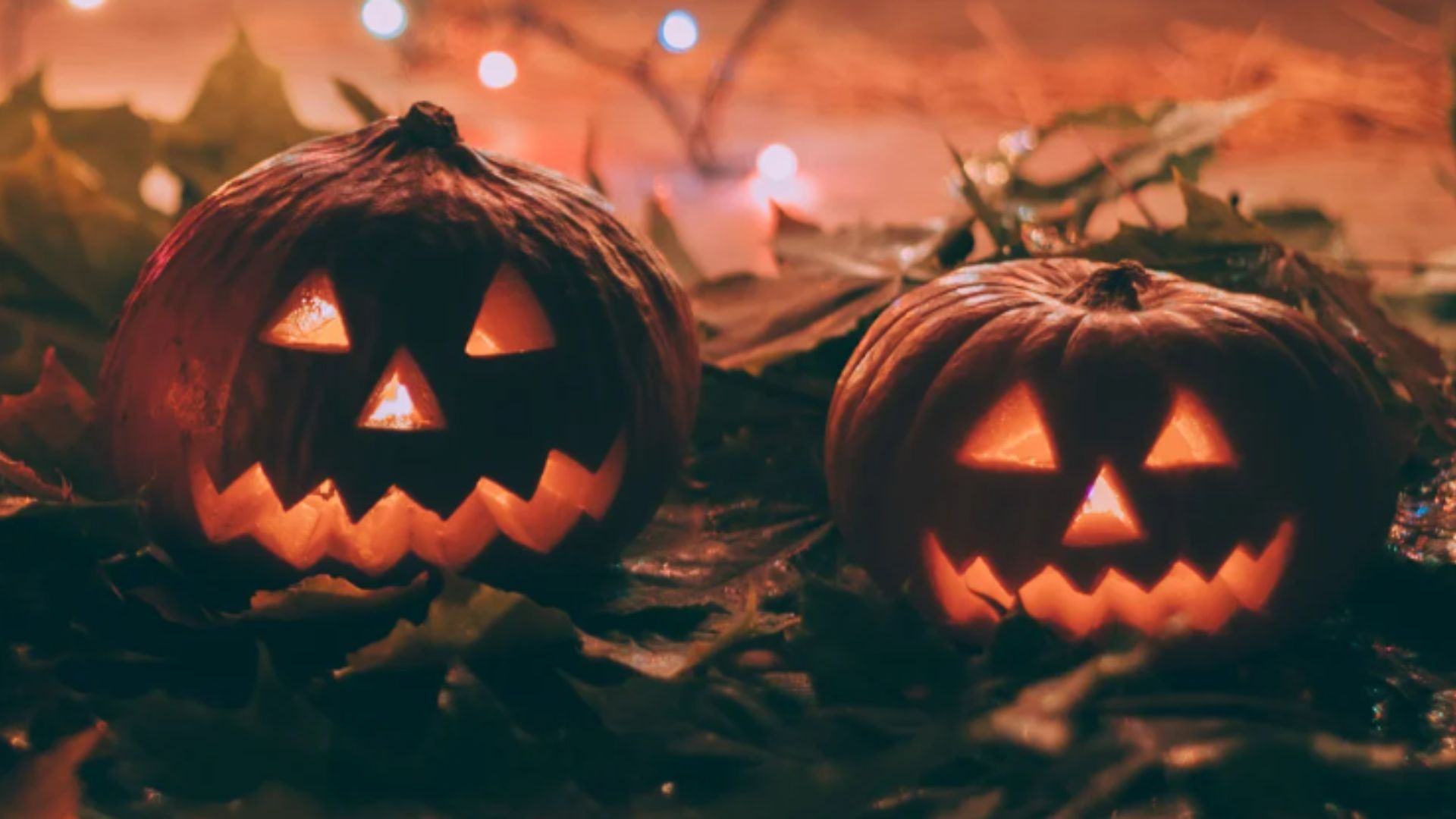 Halloween Hotel Adventures in Cork  x Oriel House Hotel